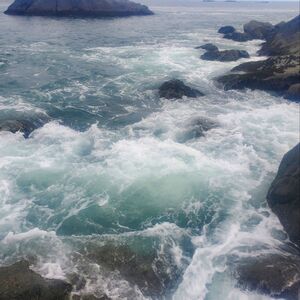 Meet your Posher, Emilee